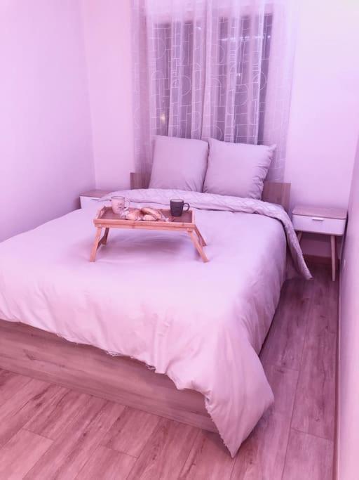 Superbe Appartement Tout Equipe, Le Nid D'Eva A Metz Gare, Parking Prive, Balcon, F2, 50M2, 3P Екстериор снимка