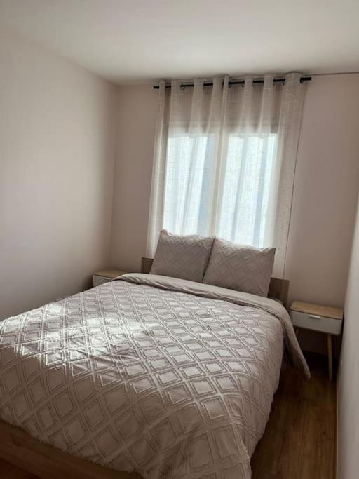 Superbe Appartement Tout Equipe, Le Nid D'Eva A Metz Gare, Parking Prive, Balcon, F2, 50M2, 3P Екстериор снимка
