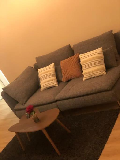Superbe Appartement Tout Equipe, Le Nid D'Eva A Metz Gare, Parking Prive, Balcon, F2, 50M2, 3P Екстериор снимка